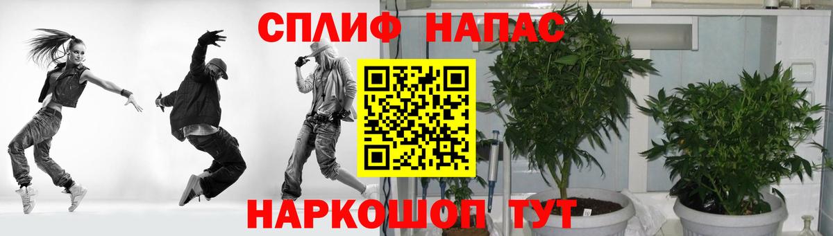Шишки марихуана планчик Балаково
